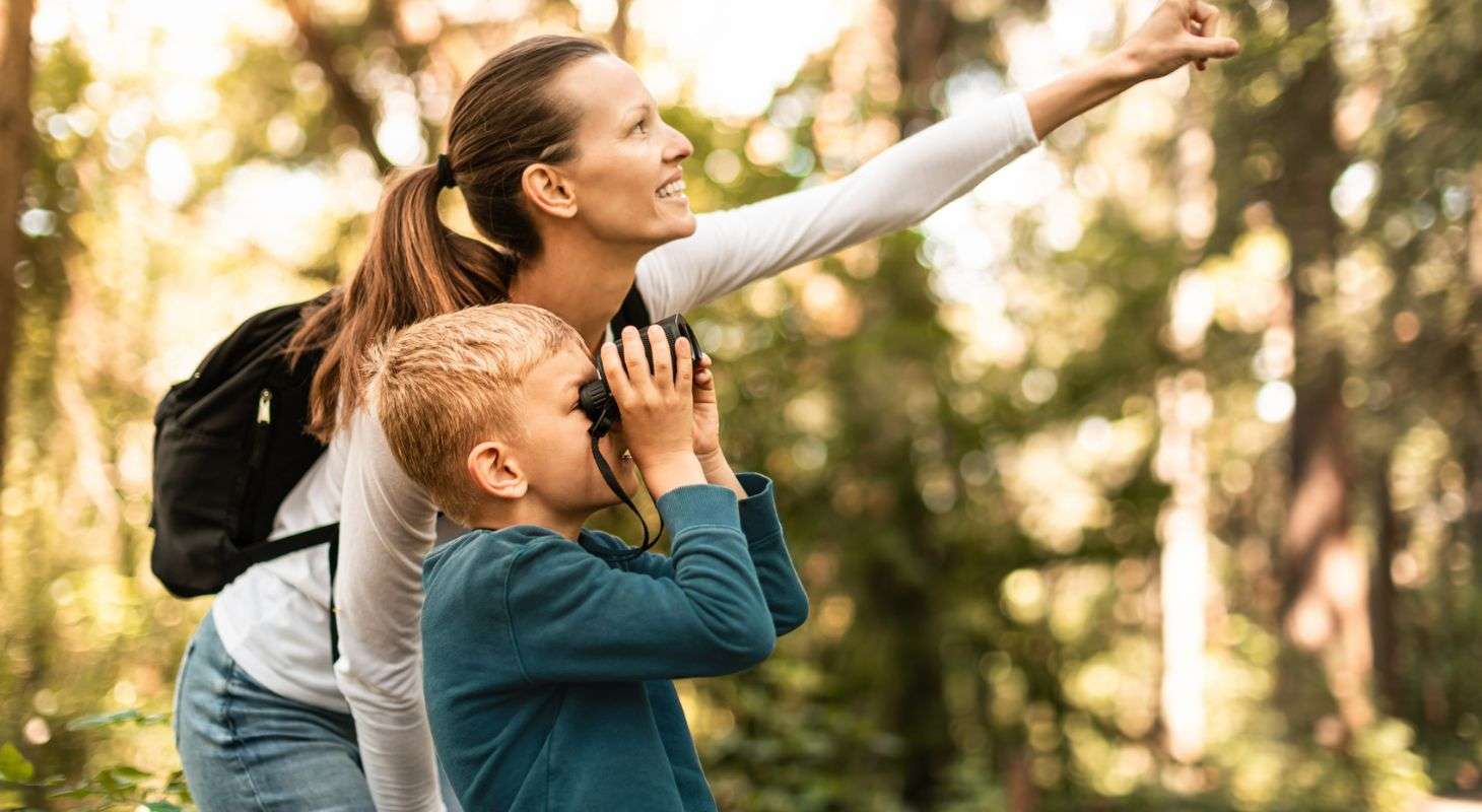 A mother pointing at a bird in a tree so her son can see it through his binoculars
