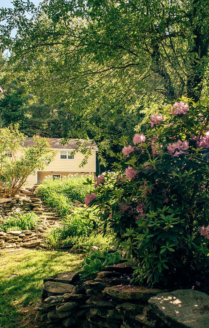 Flowers and Greenery in Gardens with Tucker Hill Lodge in background