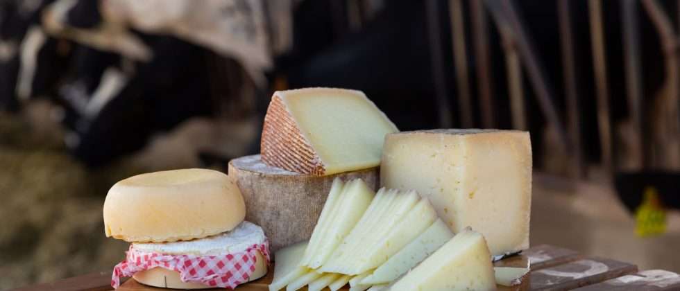A tray of Vermont cheese at a farm along the Vermont Cheese Trail