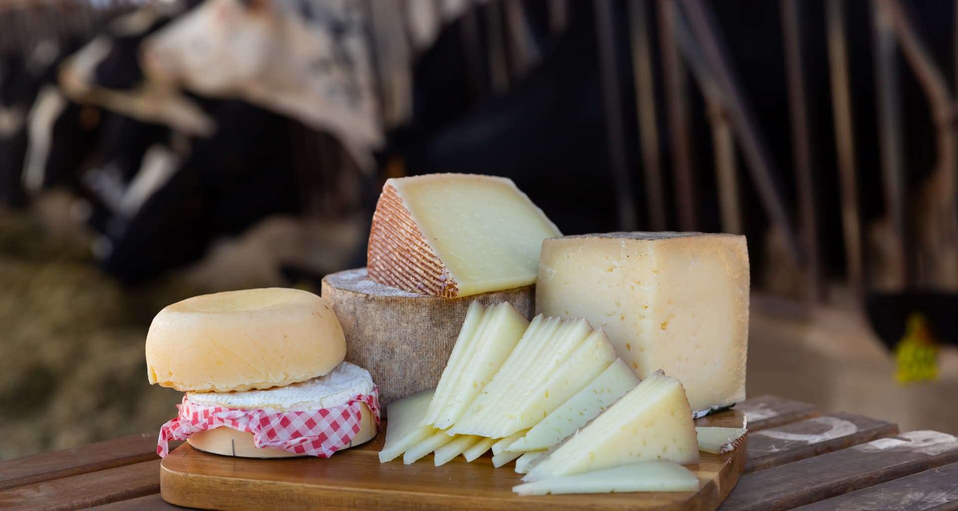 A tray of Vermont cheese at a farm along the Vermont Cheese Trail