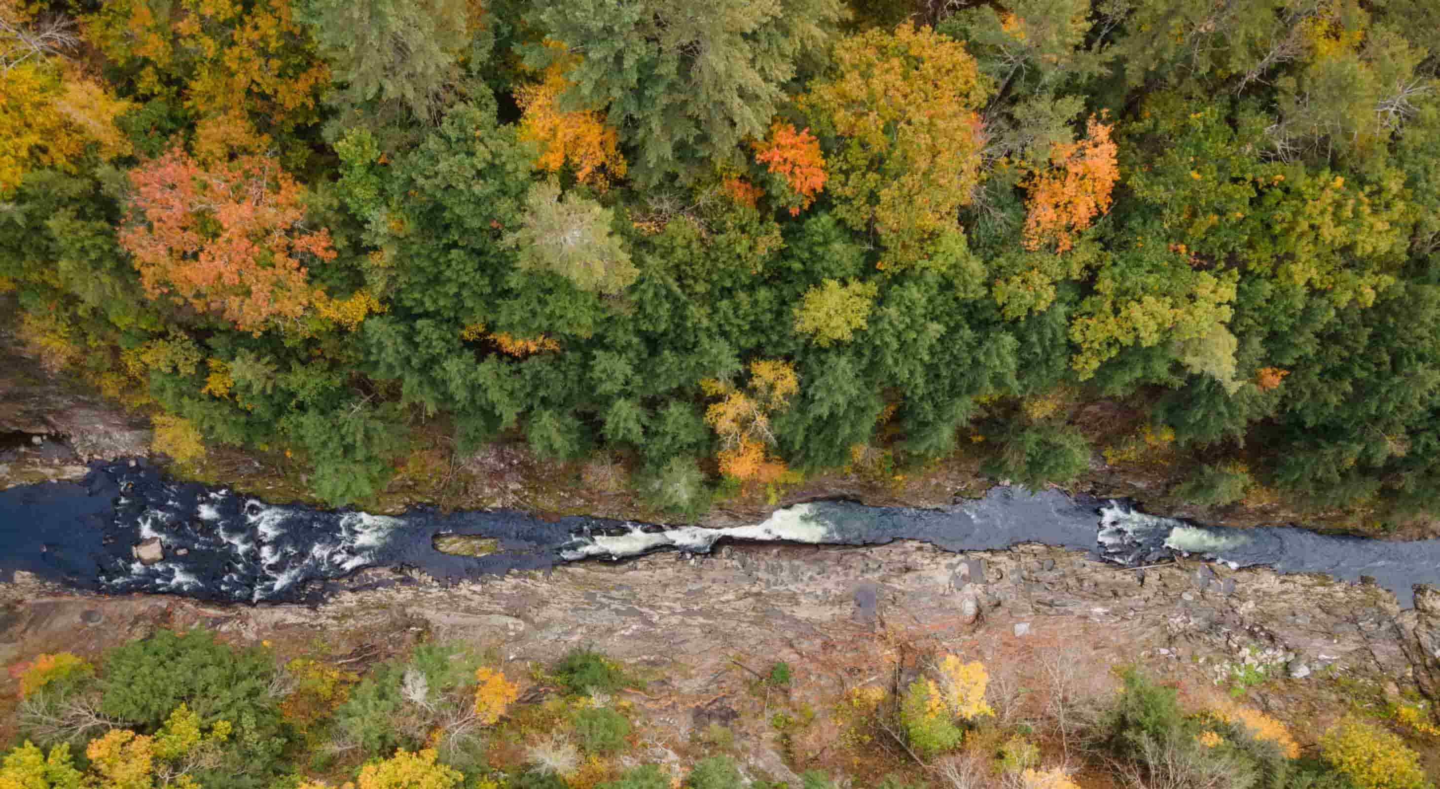 Vermont fall foliage over Warren Falls