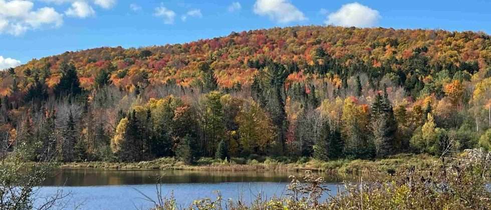 Vermont fall foliage