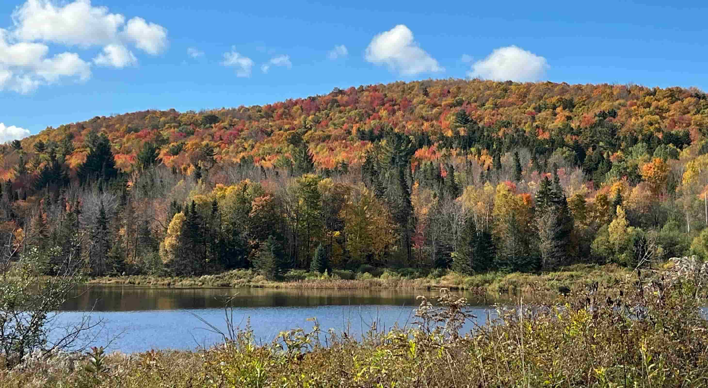 Vermont fall foliage over Warren Falls