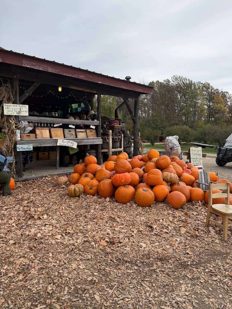 Pumpkins at Shelburne Farms in Vermont in the fall