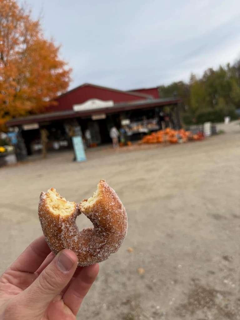Cider donuts at Shelburne Farms in Vermont in the fall